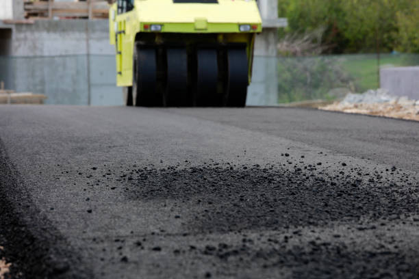 Best Brick Driveway Pavers  in Washoe Valley, NV